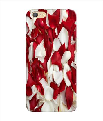 HI5OUTLET Back Cover for Gionee F205