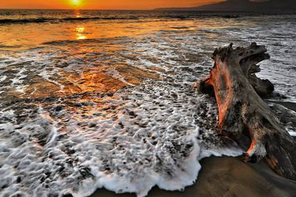 12X18 NATURE NON TEARABLE GLOSSY FINISH POSTER Photographic Paper