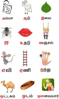 Littlebuds 100 cm Tamil Alphabets Removable Sticker Price in India - Buy  Littlebuds 100 cm Tamil Alphabets Removable Sticker online at 