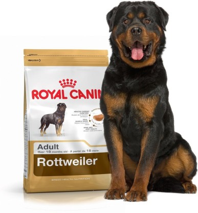 royal canin rottweiler