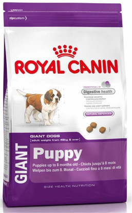 feline bladder stones