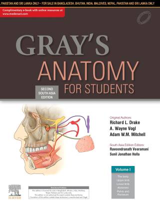 gray s anatomy