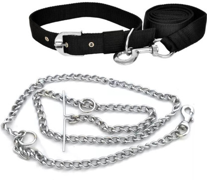 dog chain silver