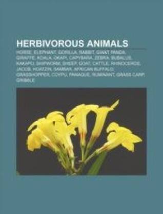 Herbivorous Animals: Buy Herbivorous Animals by Source Wikipedia at Low  Price in India 