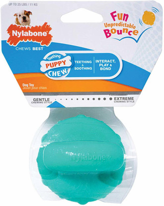 nylabone giggle ball