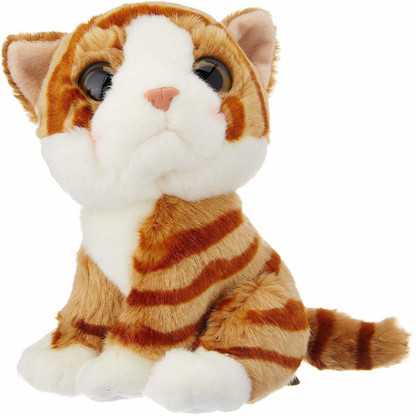 wild republic cat