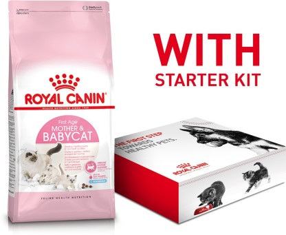 royal canin kitten starter kit