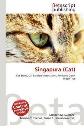 singapura cat price in india