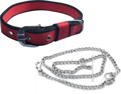 colored chain dog collars