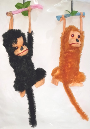 monkey with teddy bear