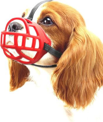 dog red muzzle