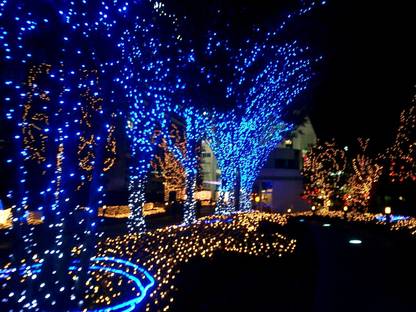 Red White Blue Christmas Lights