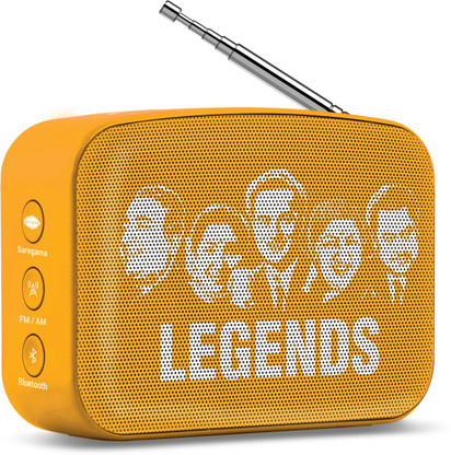 Buy SAREGAMA Carvaan Mini Hindi 5 W 