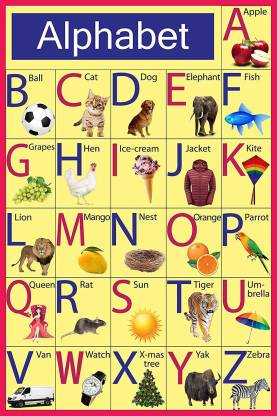 Alphabet Charts for Kids Modern Style,Multicolor,300 GSM Matte,12 * 18 ...