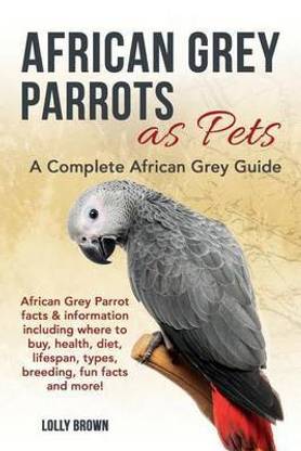 photo African Grey Bird Cost african grey parrots as pets buy african grey parrots as pets by brown lolly at low price in india flipkart com