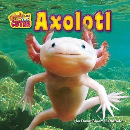 Axolotl Buy Axolotl By Bluemel Oldfield Dawn At Low Price In India Flipkart Com