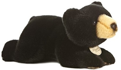 aurora world inc bear