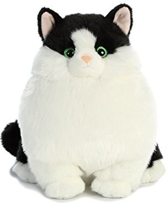 aurora world inc cat