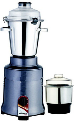 blueberry mixer grinder price