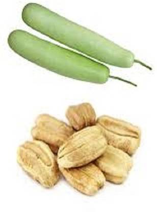 Pihu Ghiya Bottle Gourd Seed Price In India Buy Pihu Ghiya Bottle Gourd Seed Online At Flipkart Com