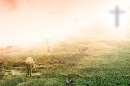 sunset background sheeps |god poster|christian god poster|jesus poster|Jesus  love| Paper Print - Religious posters in India - Buy art, film, design,  movie, music, nature and educational paintings/wallpapers at 