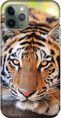 Casemantra Back Cover For Apple Iphone 11 Pro Lion Print Casemantra Flipkart Com