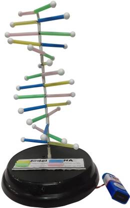 MELODY's Model of DNA - Working model for Biology Science ...