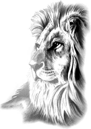 The Canvas Arts The Canvas Arts Arm Hand Lion Face Body Temporary Tattoo - Price in India, Buy The Canvas Arts The Canvas Arts Arm Hand Lion Face Body Temporary Tattoo Online The Canvas Arts The Canvas Arts Arm Hand Lion Face Body Temporary Tattoo - Price in India, Buy The Canvas Arts The Canvas Arts Arm Hand Lion Face Body Temporary Tattoo Online