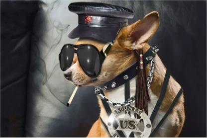 Dog in Police Paper Print - Quotes & Motivation posters in India - Buy art,  film, design, movie, music, nature and educational paintings/wallpapers at  