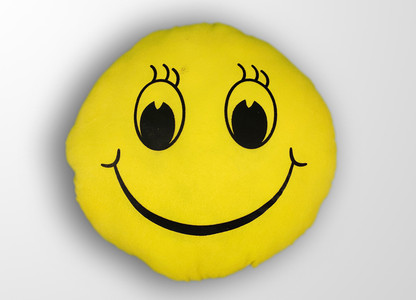 cat themed throw pillows