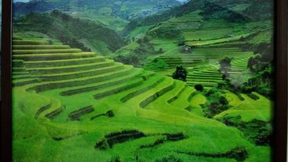 Green landscape