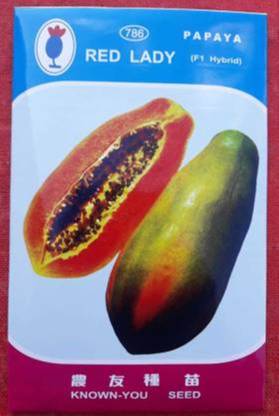 PREMIER PLANTS Red Lady Papaya 786 Seeds ( 950 Seeds ) Seed
