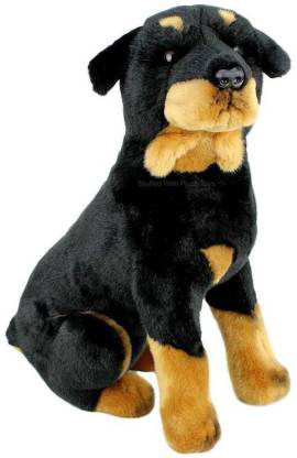 black dog teddy bear
