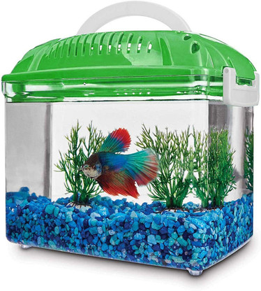 aquarium fish shopping online