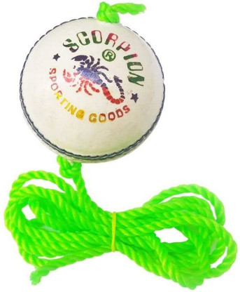cricket batting practice string ball