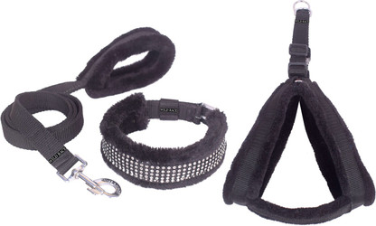 collar harness combo