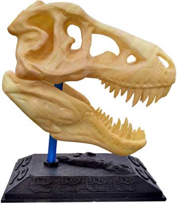 Uneeke Shape T Rex Skull Dinosaur Realistic Look High Detailed Tyrannosaurus Easy Separate And Attach Jurassic Toy Cum Showpiece T Rex Skull Dinosaur Realistic Look High Detailed Tyrannosaurus Easy Separate And