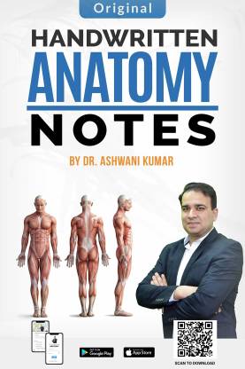 Handwritten Anatomy Notes By Dr Ashwani Kumar Buy Handwritten Anatomy Notes By Dr Ashwani Kumar By Dr Ashwani Kumar At Low Price In India Flipkart Com