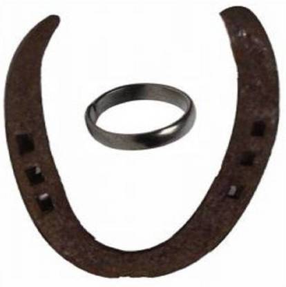 Aksam 1 Horse Shoe Naal & 1 Horse Shoe Ring Combo For Shani ...