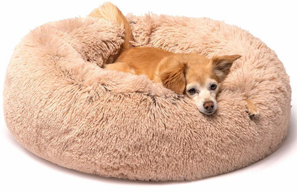 Coomir Pet Dog Cat Calming Bed Round Nest Warm Soft Plush Comfort for Sleeping Winter 50CM Albicocca 