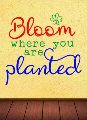 KREEPO Quotes Multicolor Wallpaper Price in India - Buy KREEPO Quotes Multicolor Wallpaper online at KREEPO Quotes Multicolor Wallpaper Price in India - Buy KREEPO Quotes Multicolor Wallpaper online at