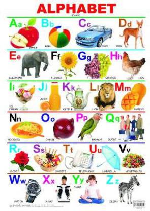 Universal Kid's 1st Learning Charts [S] : Set 3 (English Alphabets, Hindi  Varnamala, Birds, Flowers, Fruits, Vegetables, Domestic Animals & Wild  Animals) (Multicolor) Price in India - Buy Universal Kid's 1st Learning
