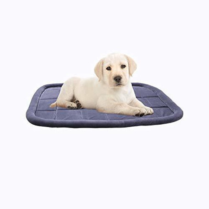 dog mat