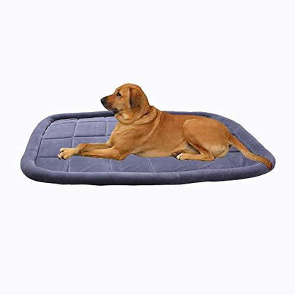 dog bed flipkart