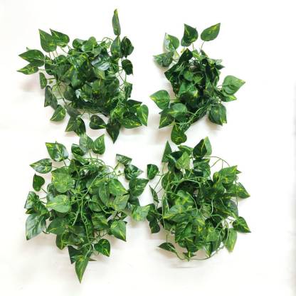 Artificial Hub Money Plant Wall Hanging Green Wild Flower In India At Flipkart Com - Artificial Plant Wall Hanging