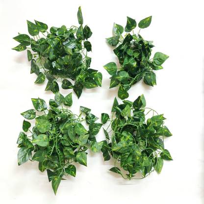 Artificial Hub Money Plant Wall Hanging Green Wild Flower In India At Flipkart Com - Artificial Plant Wall Hanging Artificial Hub Money Plant Wall Hanging Green Wild Flower In India At Flipkart Com - Artificial Plant Wall Hanging