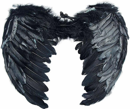 fancy dress angel wings