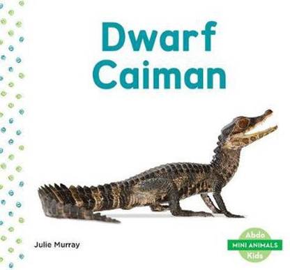 Buy Mini Animals Dwarf Caiman By Murray Julie At Low Price In India Flipkart Com