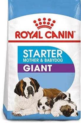 Emulatie Rusland Prestige Royal Canin Giant Starter Mother & Baby Dog Dry Dog Food Chicken 15 kg Dry  New Born Dog Food Price in India - Buy Royal Canin Giant Starter Mother &  Baby Dog