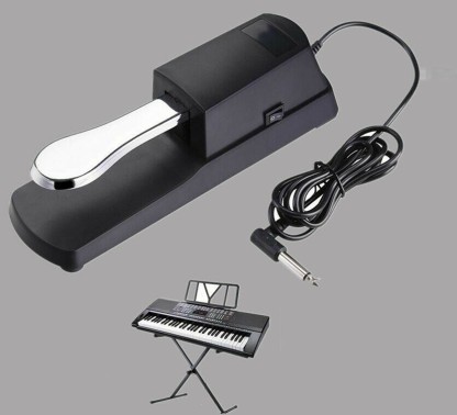 Sustain Foot Pedal for Keyboards Digital Piano Polarity Switch for MIDI Keyboards Universal Sustain Pedal,Heavy-Duty Electronic Keyboards Peda Digital Pianos Synth 